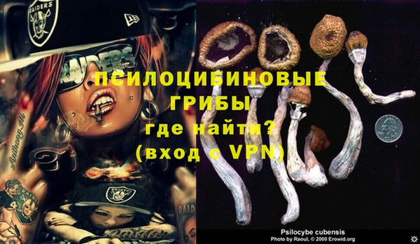 дурь Медногорск
