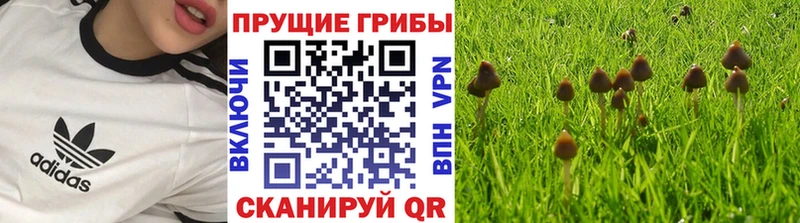 Галлюциногенные грибы ЛСД  где купить наркоту  Олонец 