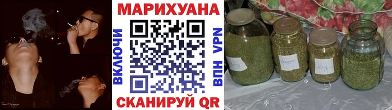 Канабис гибрид  Олонец 